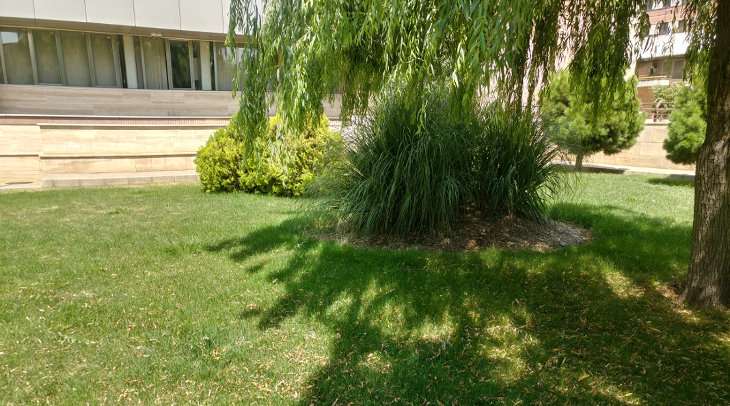 Unsplashed background img 3