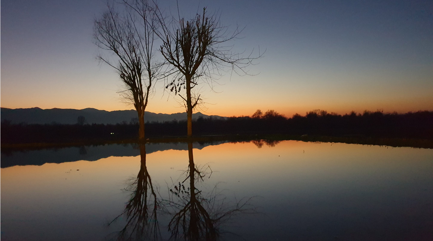 Unsplashed background img 3